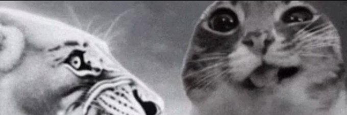 A banner