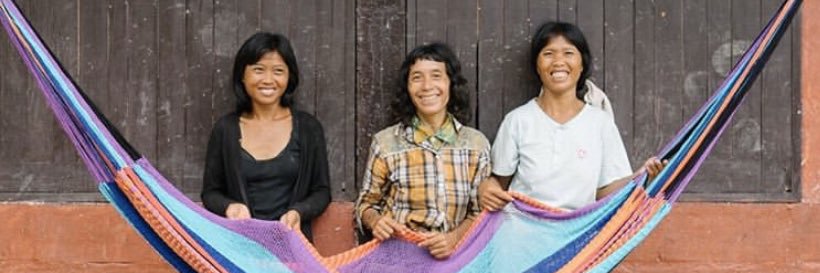 Yellow Leaf Hammocks banner