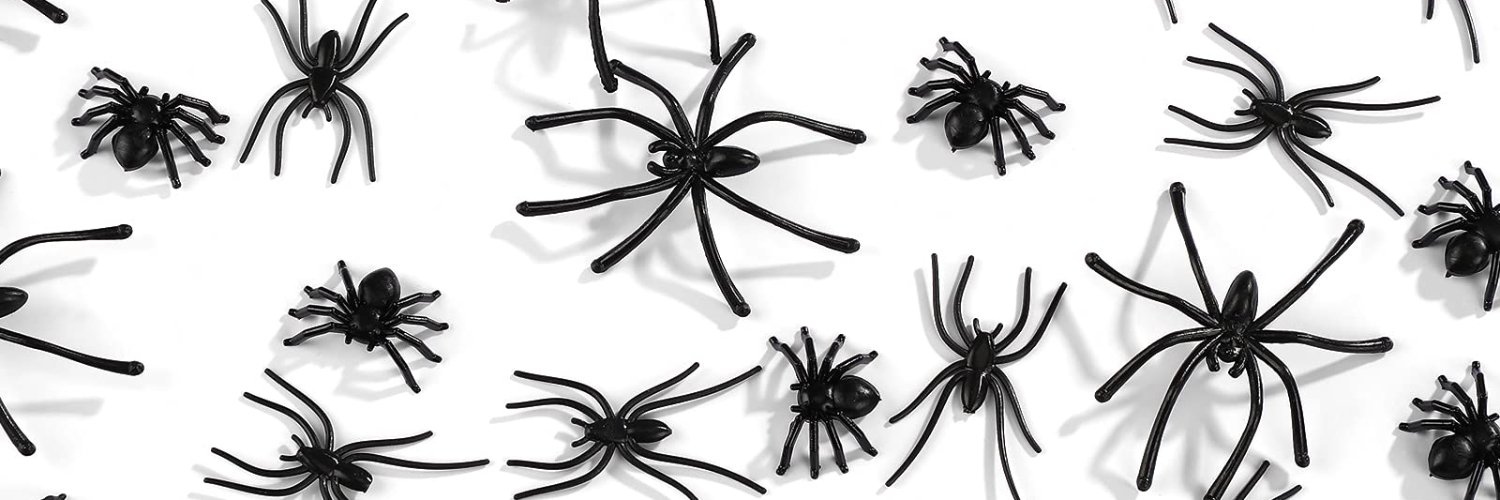 BobTheHSpider's profile banner image