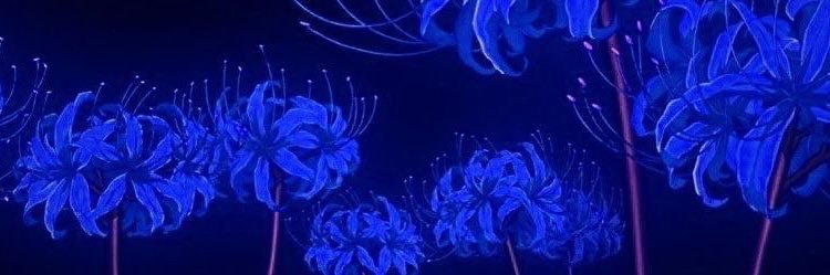 vevckz's profile banner image