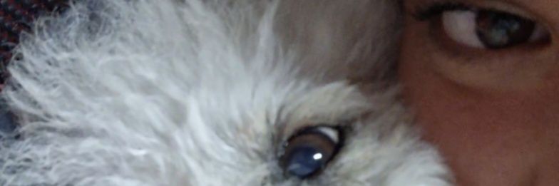 liliamaried's profile banner image