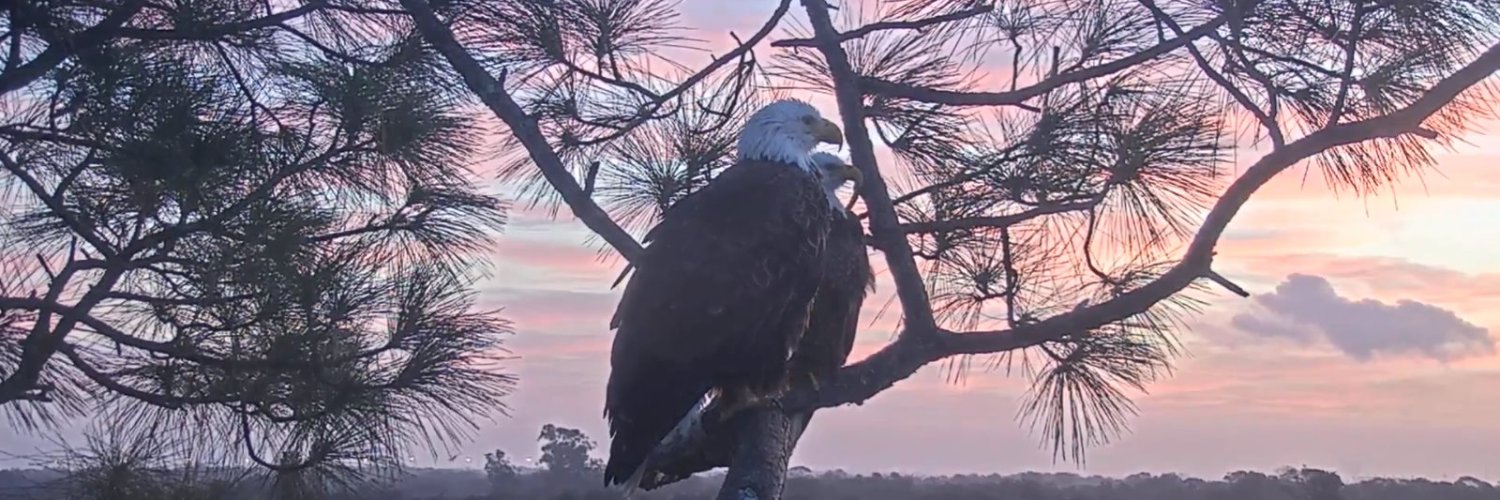 awilson229's profile banner image