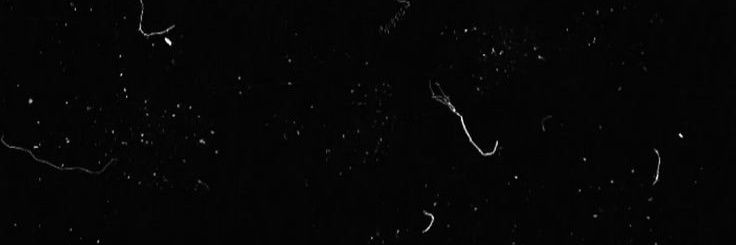 MUD00N's profile banner image