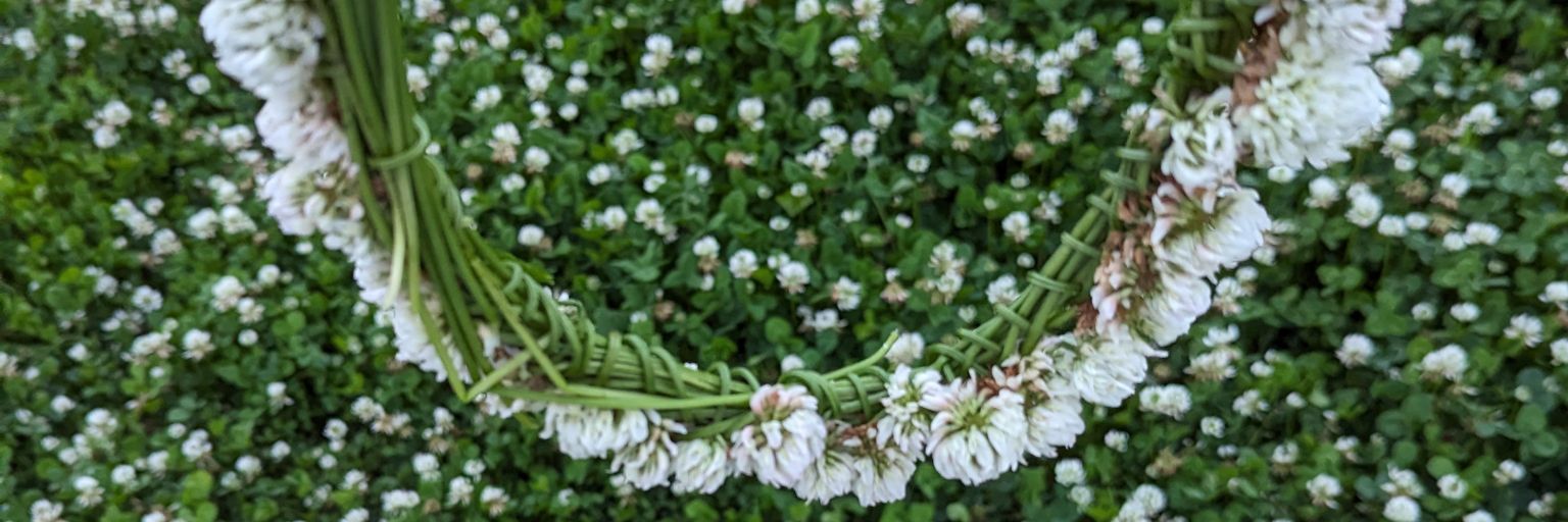 ｲﾝﾄﾛｿ banner