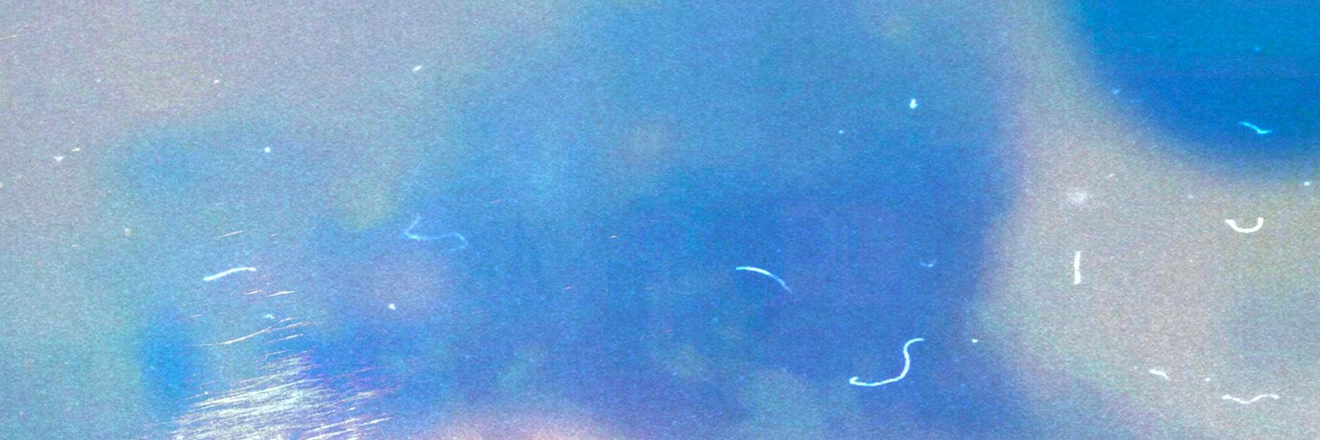 Hallucienda's profile banner image