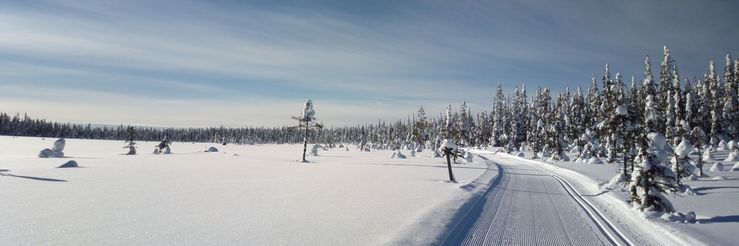 jpolojar's profile banner image
