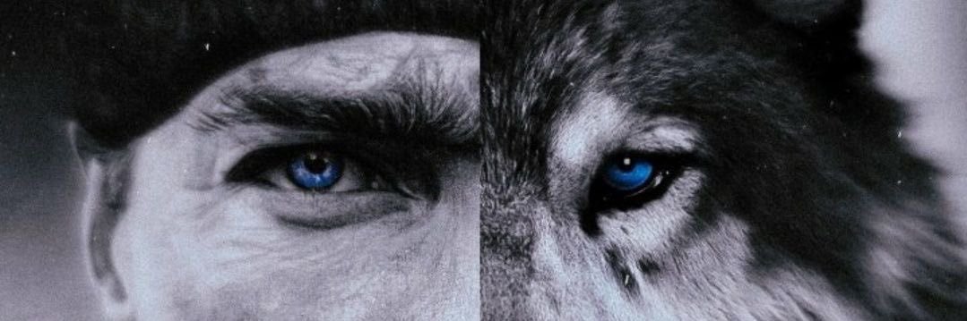 yigit banner