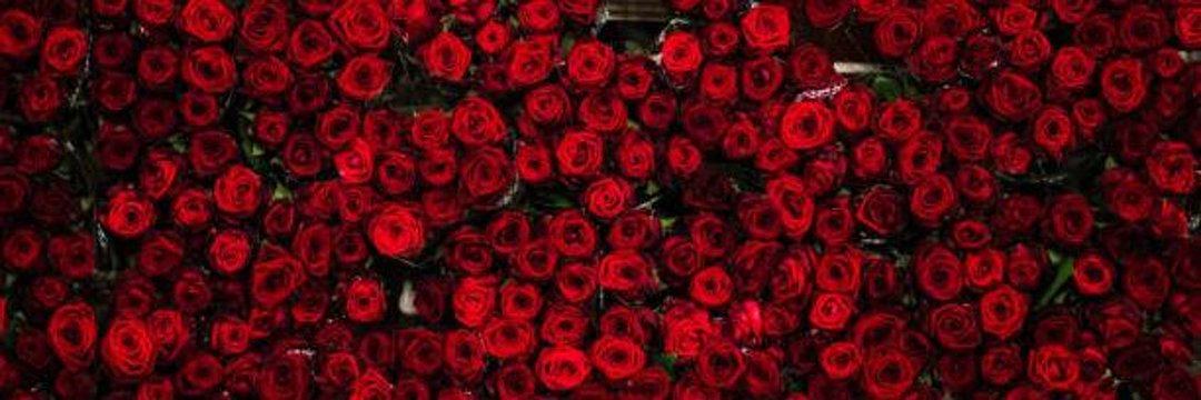 Night King💀 👑 🎗️ banner