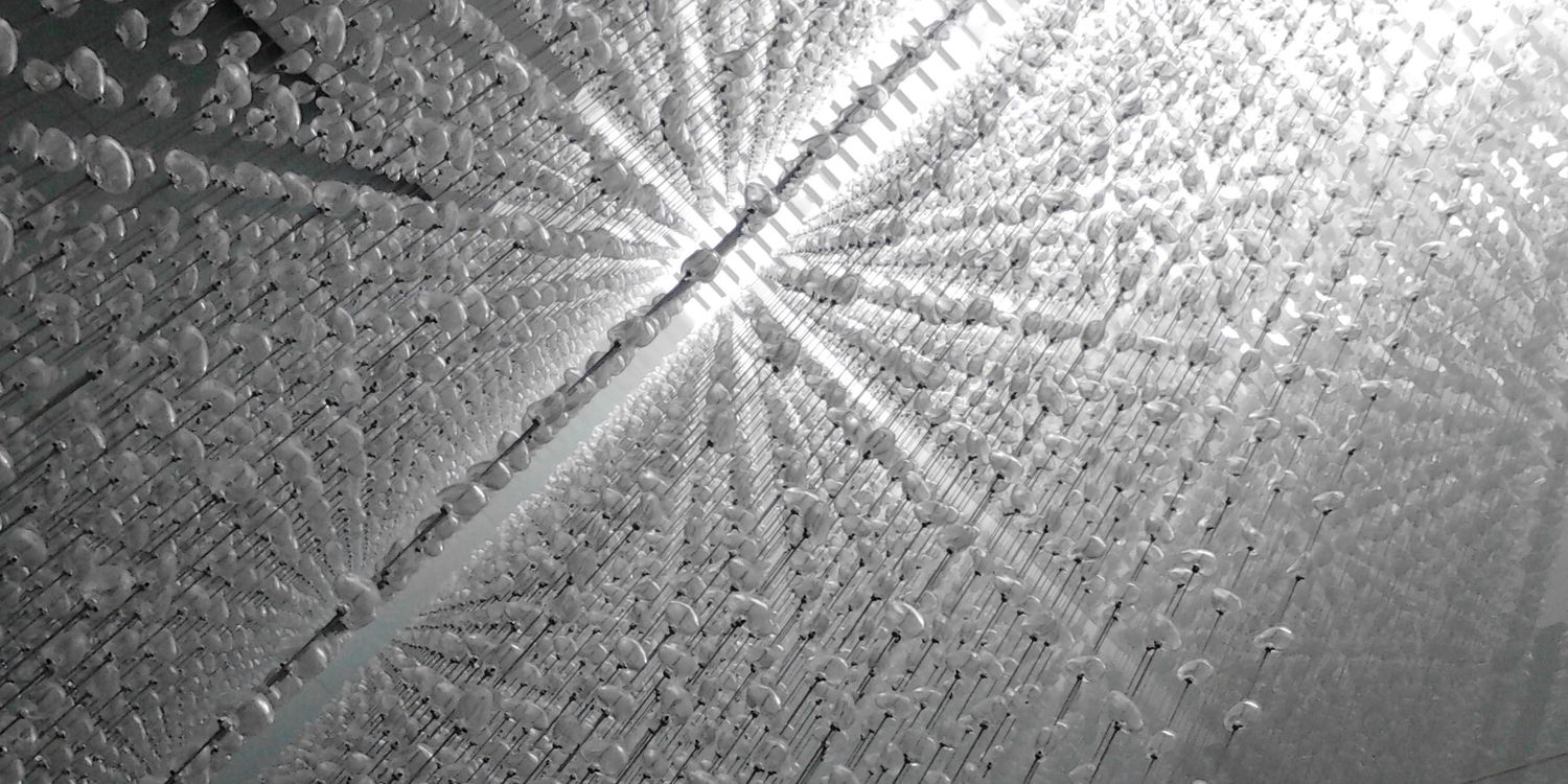 caral_om's profile banner image