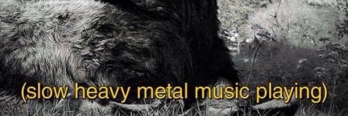 blackphery's profile banner image