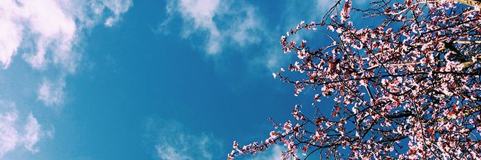 NigelLoverMan's profile banner image