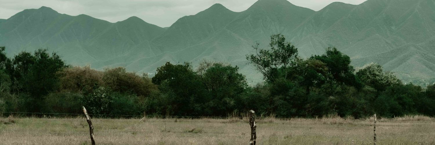 DianaMAranda's profile banner image