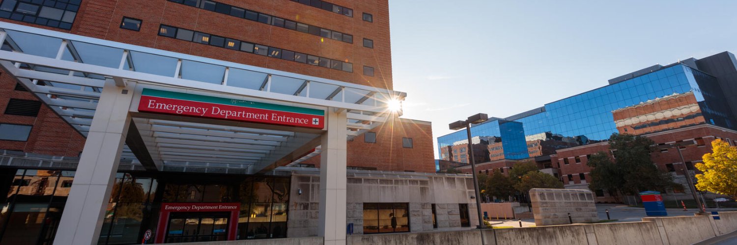 Alexis del Vecchio banner