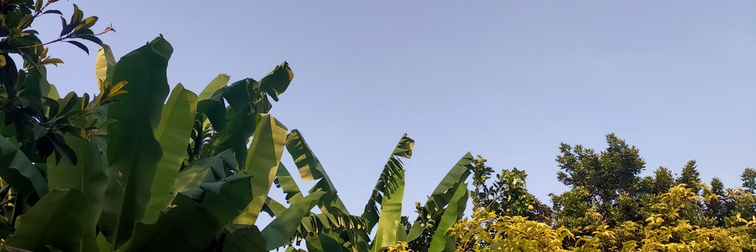 ghofarmabdul's profile banner image