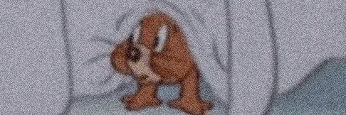 styesraa's profile banner image