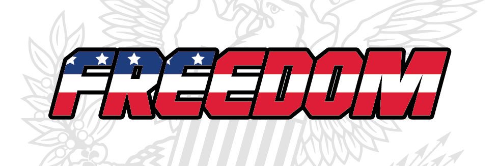 FREEDOM SOFTBALL banner