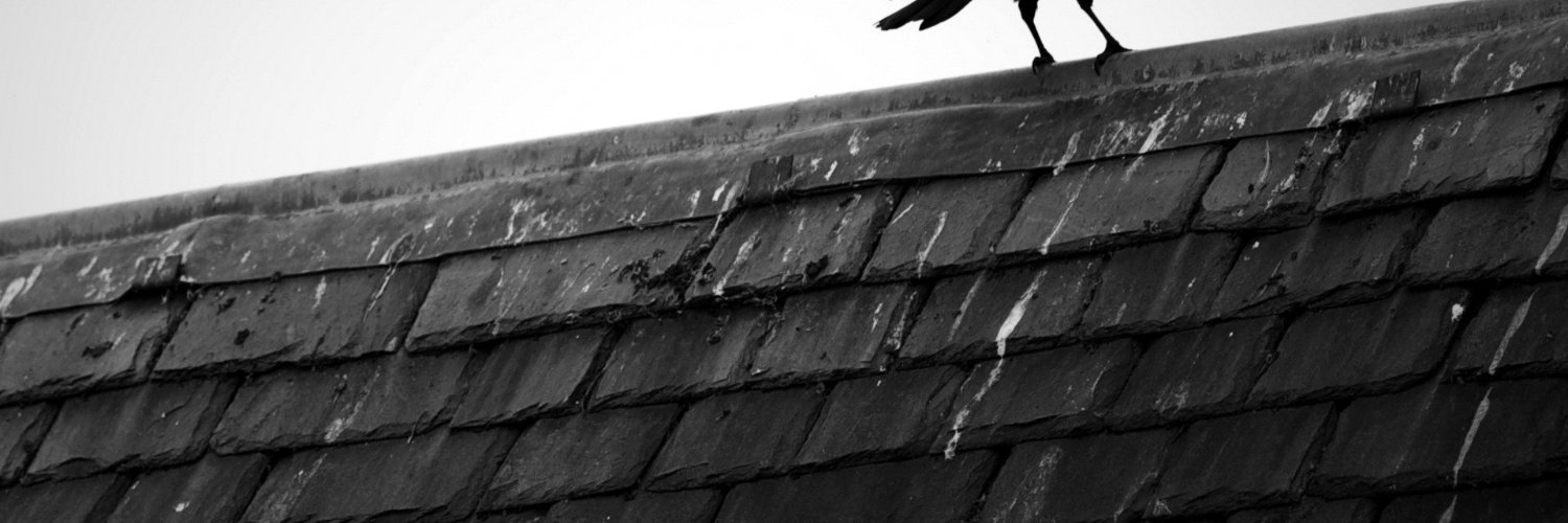 Random🦇🔊 banner