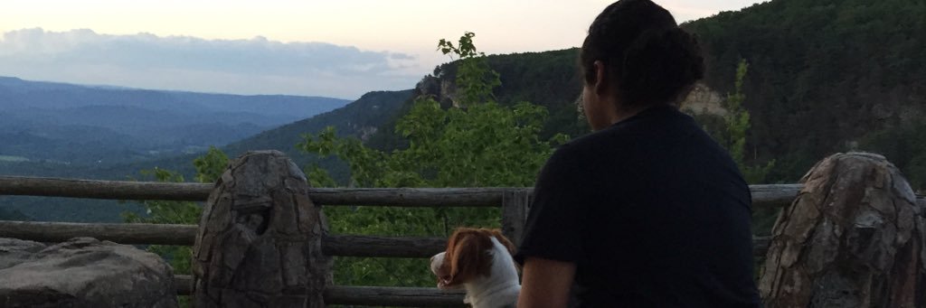 brchampion_'s profile banner image