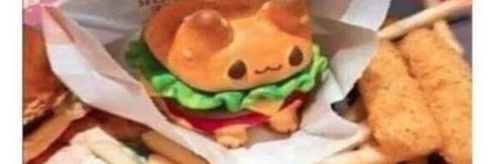 SomeoneAtNight_'s profile banner image