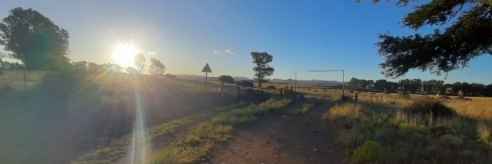 Irvette van Zyl banner