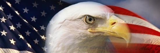 Swanson0541's profile banner image