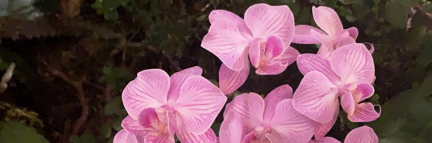 NatiGoitia's profile banner image