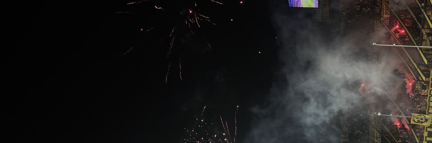 miluarandaa's profile banner image