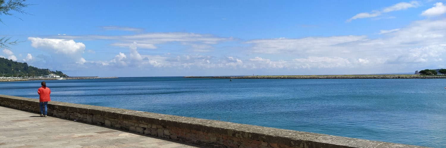 Carlos DT Mujika banner