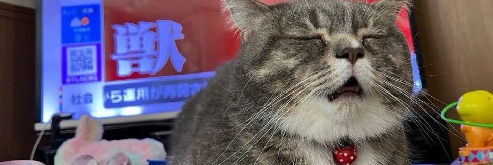 asenakolc's profile banner image