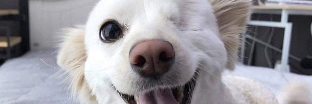 onlyfenn's profile banner image
