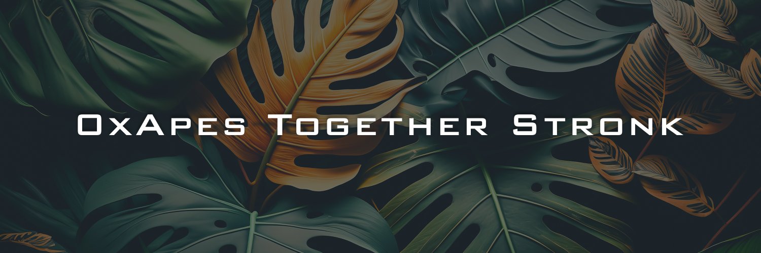 0xapeserc20's profile banner image