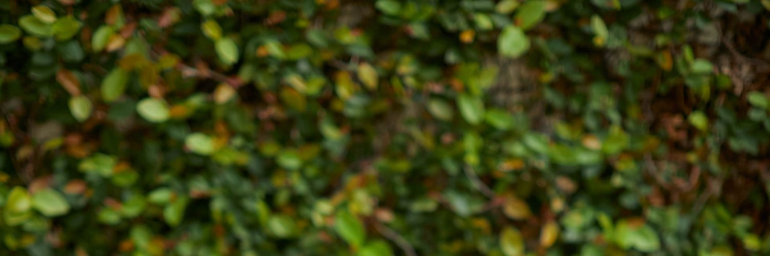 StacyRains's profile banner image
