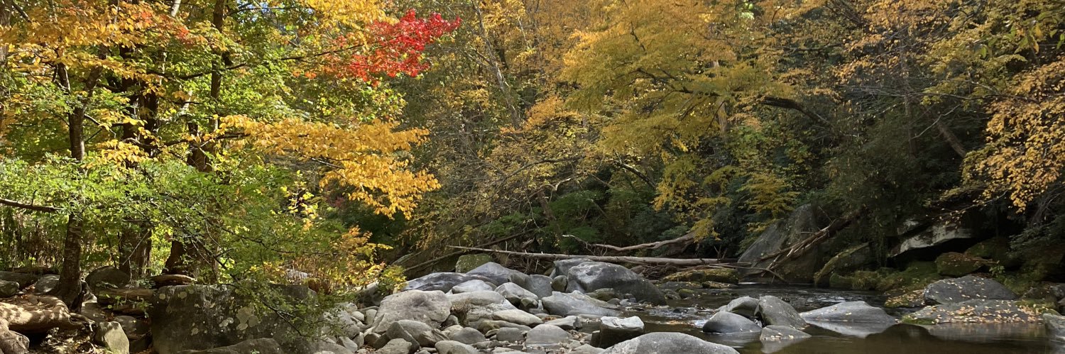 plentyofleeway banner