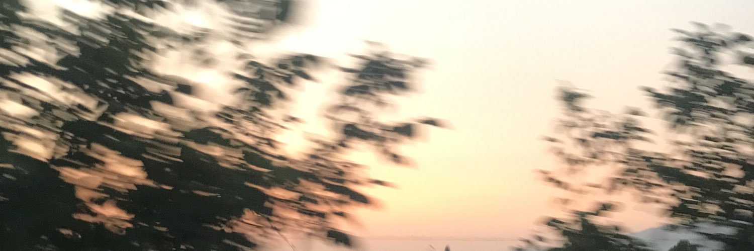 slavypro's profile banner image