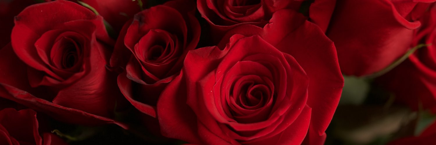 misLYDiA_'s profile banner image