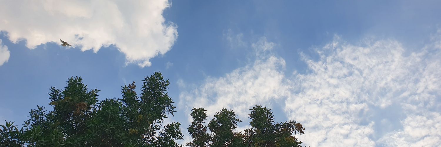 3umq's profile banner image