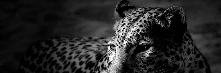 mavininimsay7_'s profile banner image