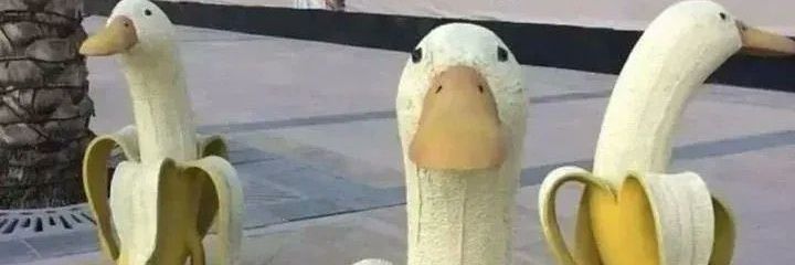 tacothemans's profile banner image