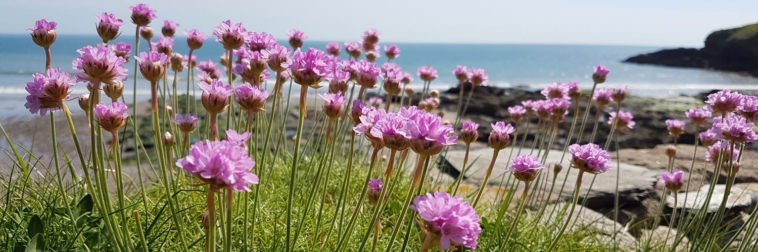 lisa_nhs's profile banner image