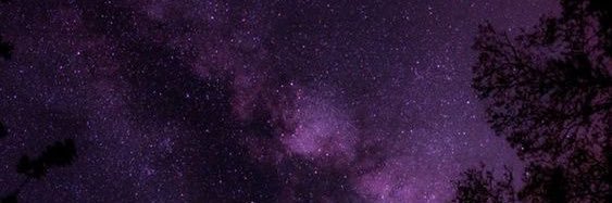 AchinelliTami's profile banner image