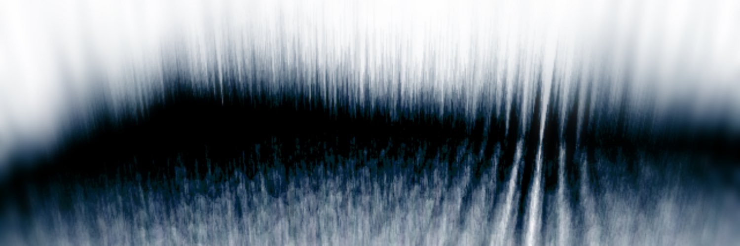 Sébastien Pitt banner