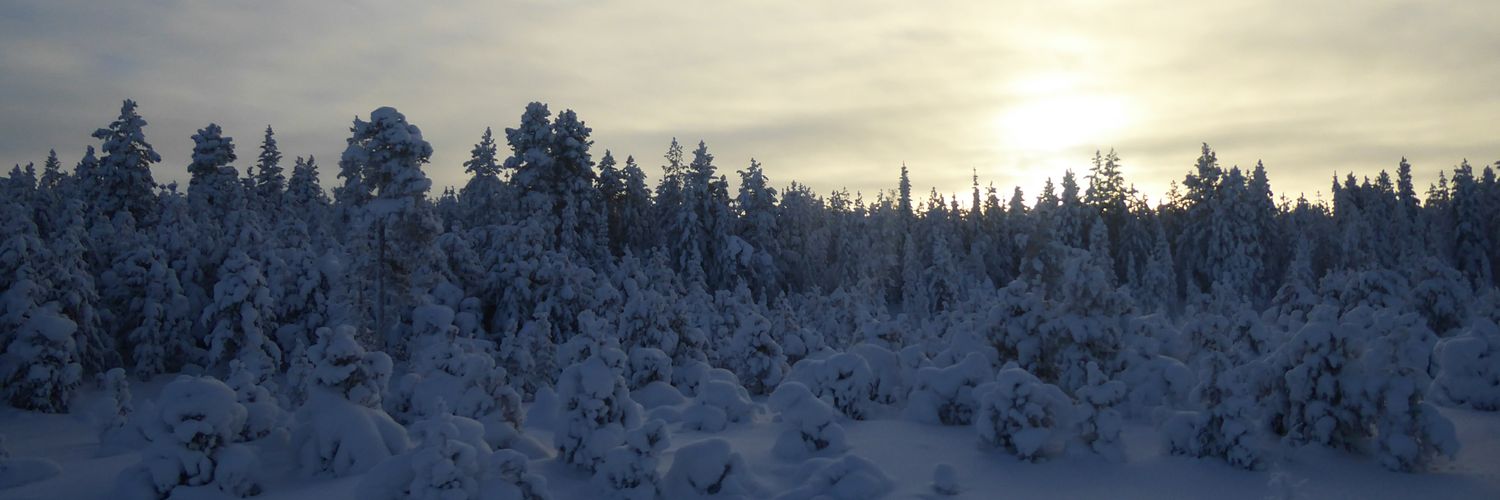 AnneleenHS's profile banner image