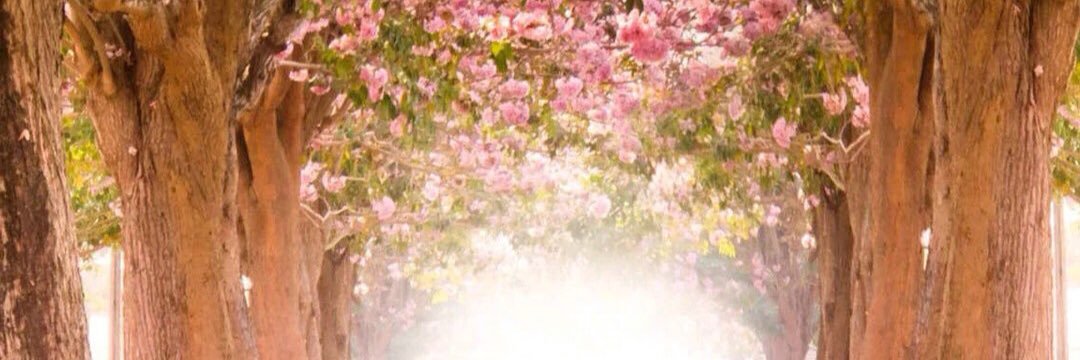 ttxtq950515's profile banner image
