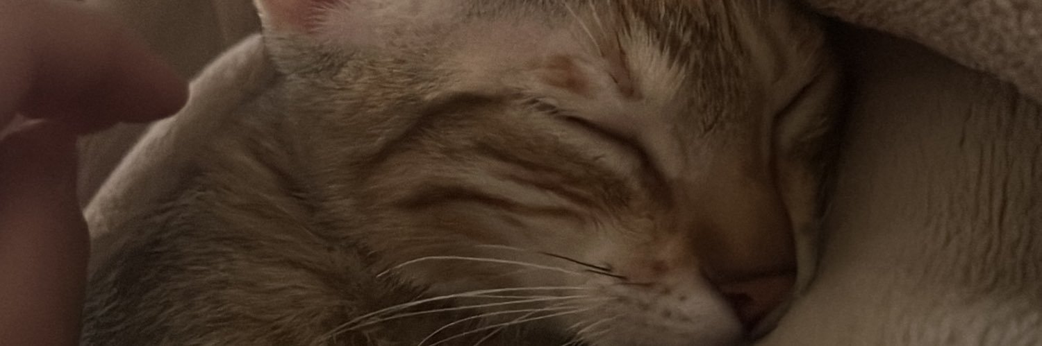 waqerloo's profile banner image