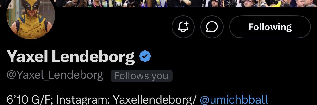 Yaxel Lendeborg muse banner