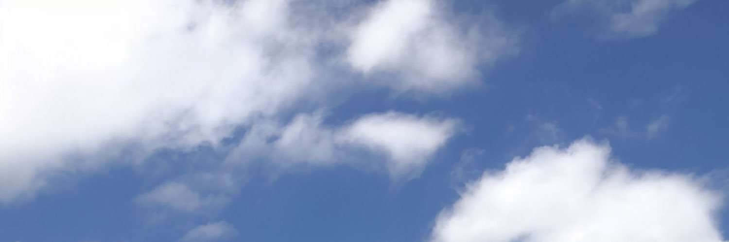 dieperla's profile banner image