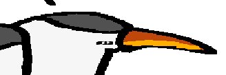 MeMoRyRePleVy's profile banner image