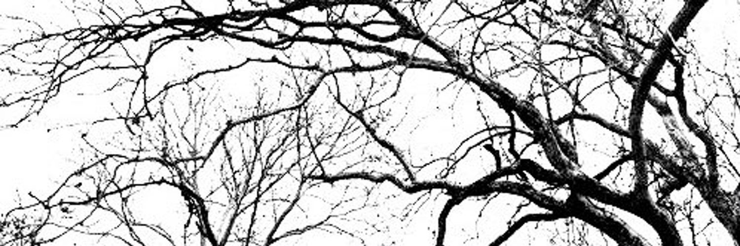 cɧaɾɭɩҽ ×͜× ໑̣ banner