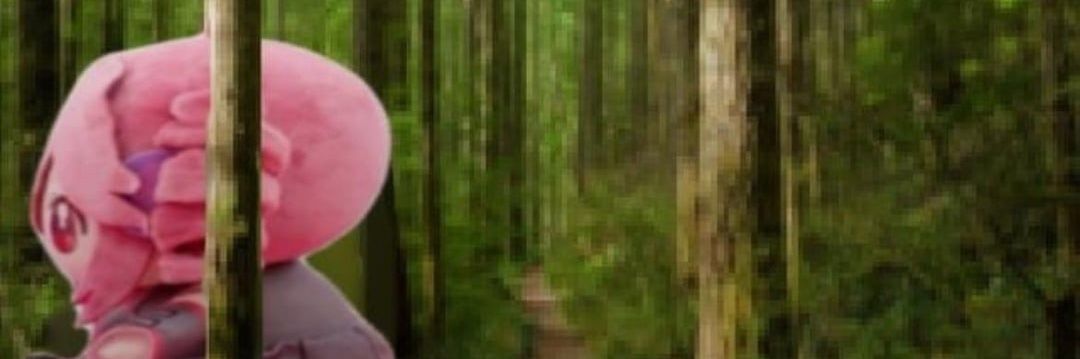 palmarodrigo70's profile banner image