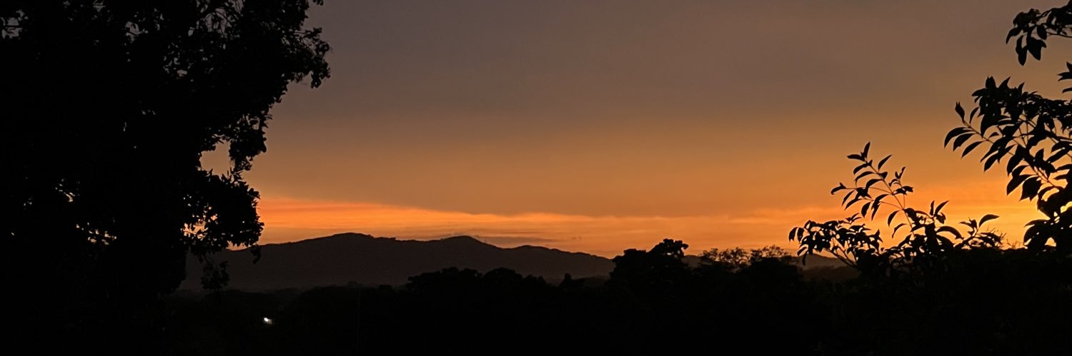 Galigarzonn's profile banner image